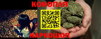 амф Можга